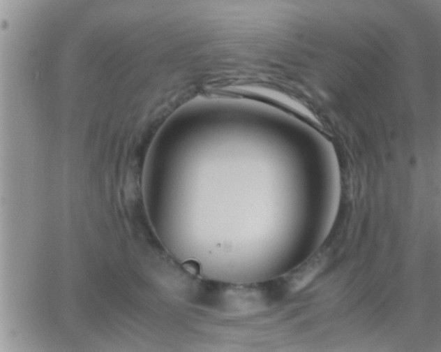 X0000065250515200602242053