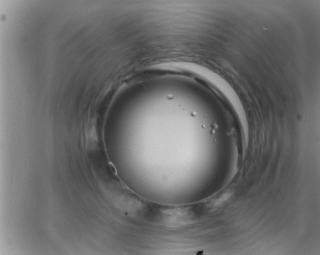 X0000065250516200602242053