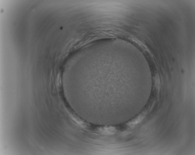 X0000065250517200602242053