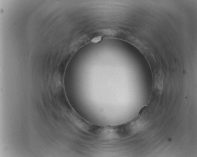 X0000065250518200602242053