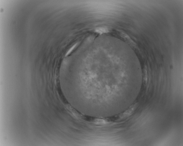 X0000065250519200602242053