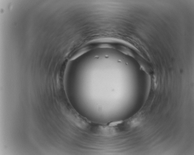 X0000065250520200602242053