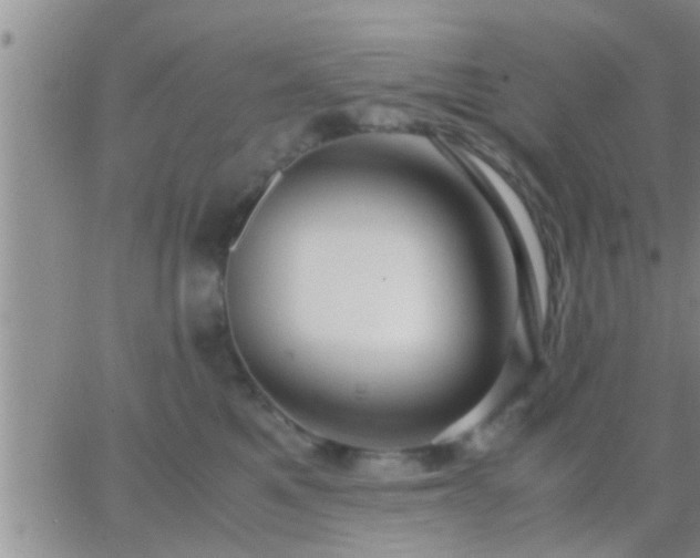 X0000065250521200602242053