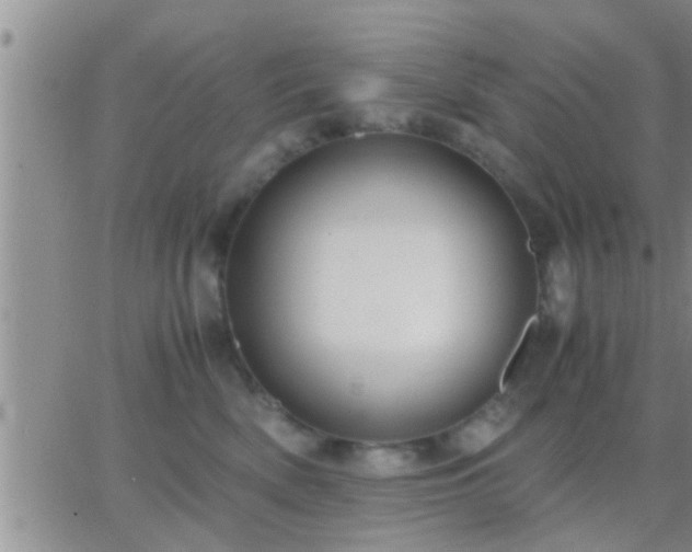 X0000065250522200602242053