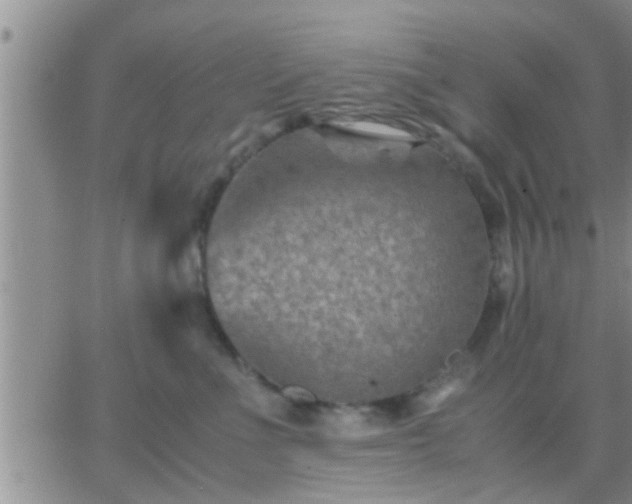 X0000065250523200602242053