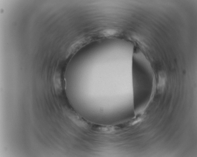 X0000065250524200602242053