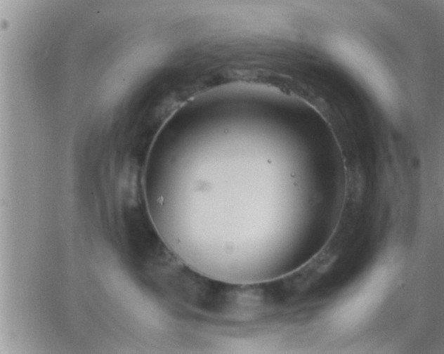 X0000065250525200602242053