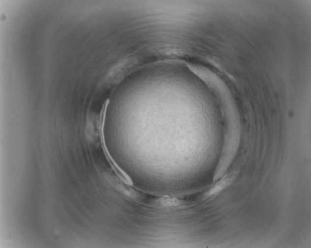 X0000065250528200602242053