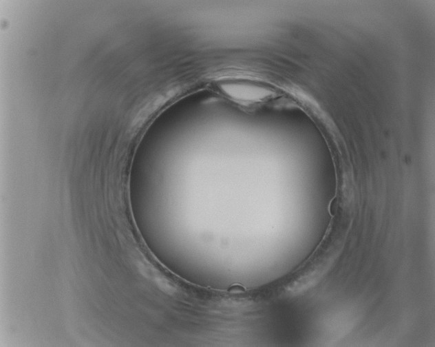 X0000065250529200602242052