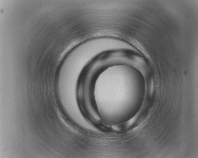 X0000065250530200602242052