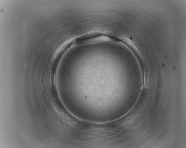 X0000065250531200602242052