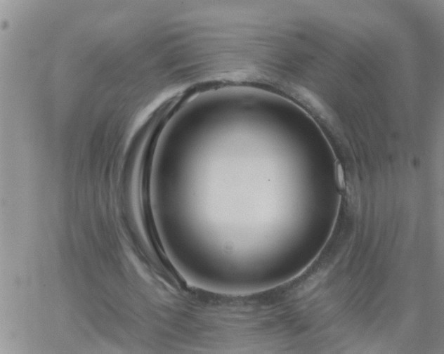 X0000065250532200602242052