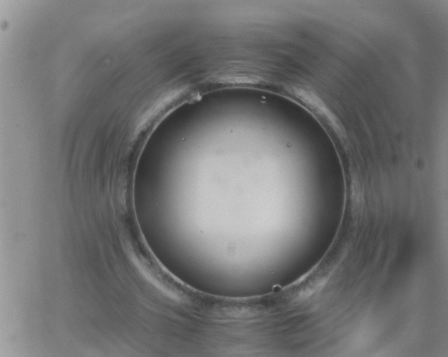 X0000065250533200602242052