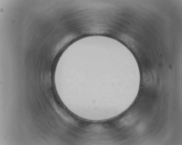 X0000065250534200602242052