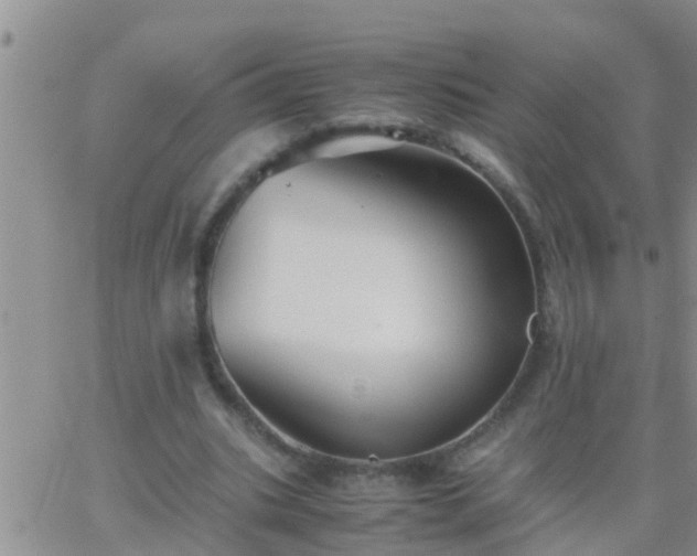 X0000065250535200602242052