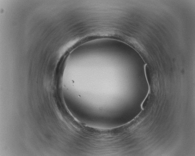 X0000065250536200602242052