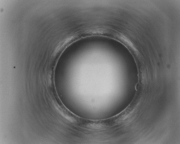 X0000065250537200602242052