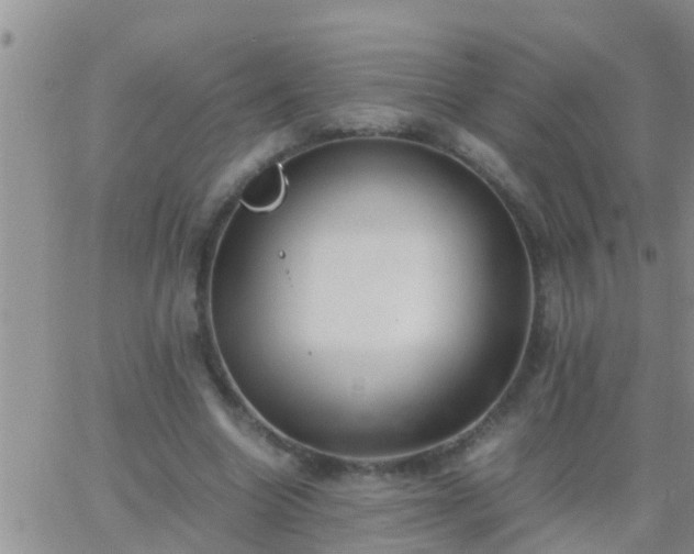 X0000065250538200602242052