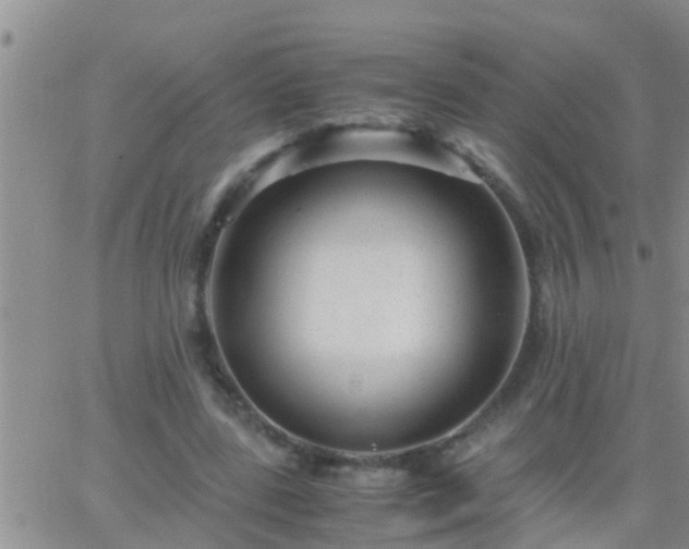 X0000065250539200602242052