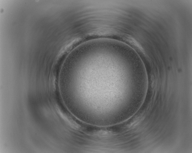 X0000065250542200602242052