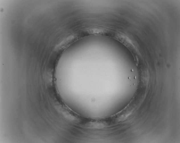 X0000065250545200602242052