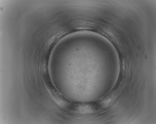 X0000065250547200602242052