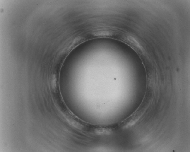 X0000065250549200602242052