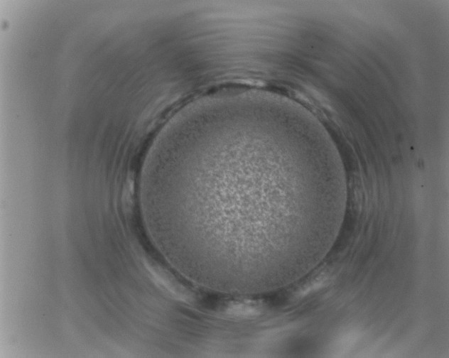 X0000065250550200602242052