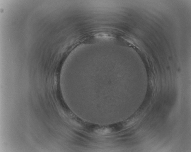 X0000065250551200602242052