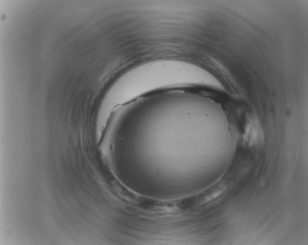 X0000065250552200602242052