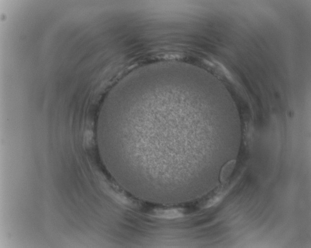 X0000065250553200602242052