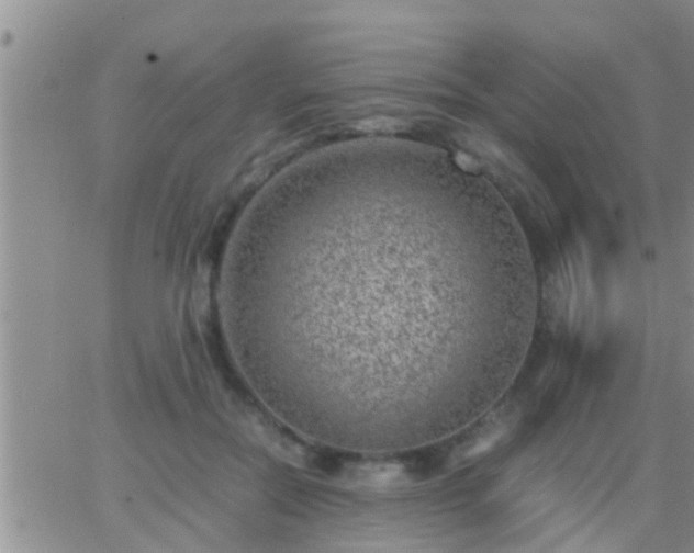 X0000065250554200602242052