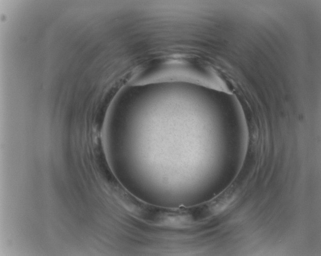 X0000065250555200602242052