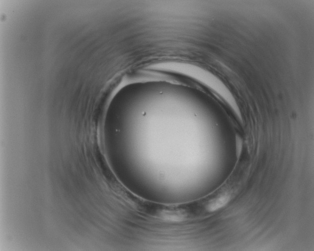 X0000065250556200602242052