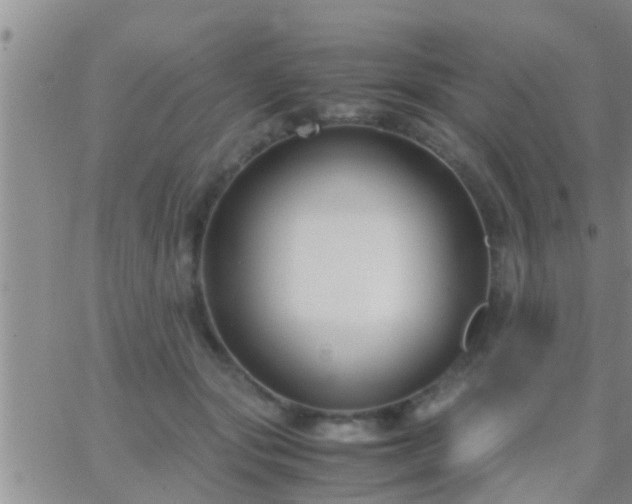 X0000065250557200602242052