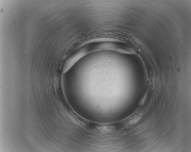 X0000065250558200602242052