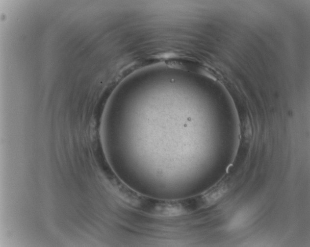 X0000065250559200602242052