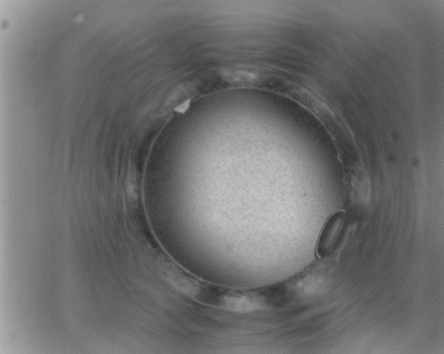 X0000065250561200602242052