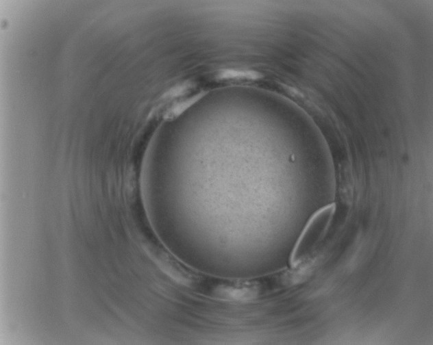 X0000065250563200602242052