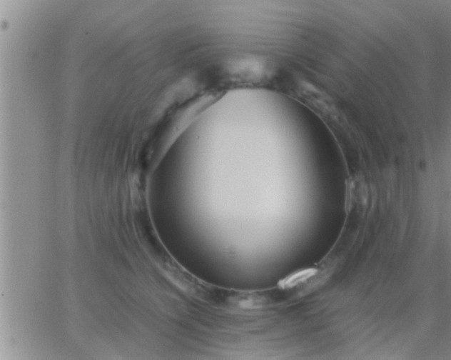 X0000065250564200602242052