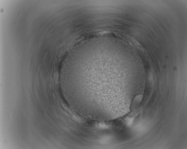 X0000065250565200602242052