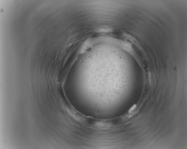 X0000065250568200602242052