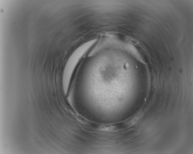 X0000065250569200602242052