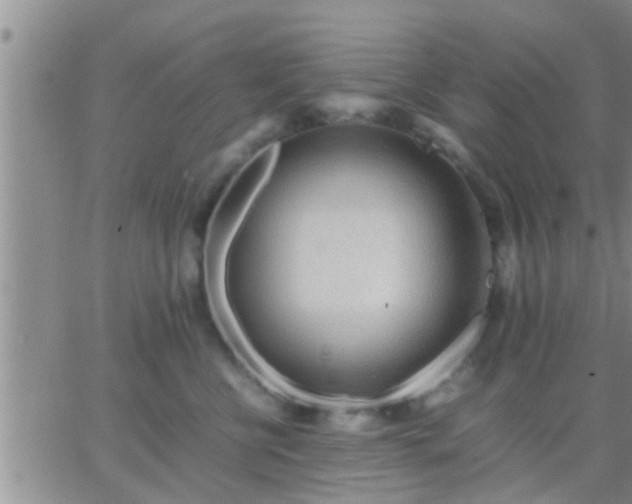 X0000065250570200602242052