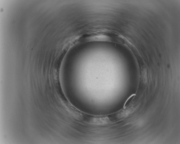 X0000065250571200602242052