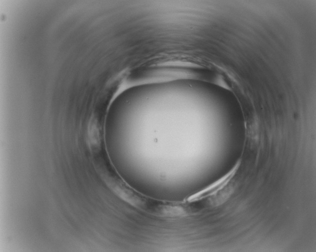 X0000065250572200602242053