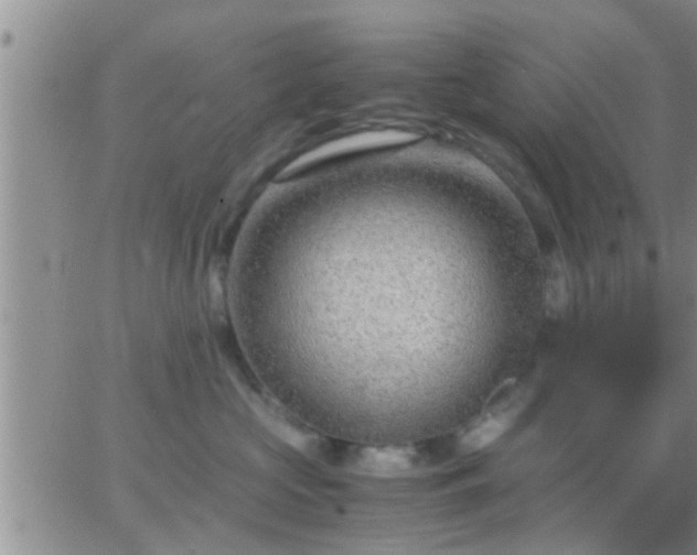 X0000065250573200602242053