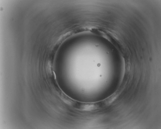 X0000065250575200602242053