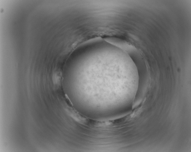 X0000065250576200602242053