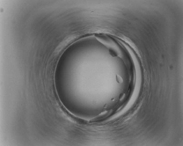 X0000065250577200602242052